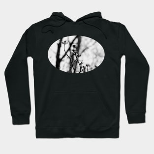 delicate buds in monochrome II Hoodie